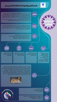 پاستیل گیاهی و فرا سودمند با استفاده از گیاه شیرین بیان