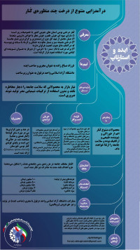 درآمدزایی متنوع از درخت چندمنظوره ی کنار