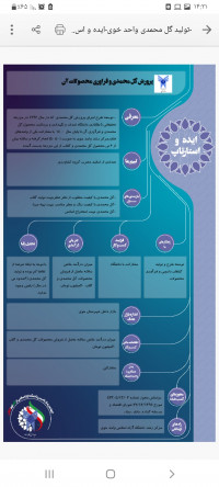 ایده و استارتاپ تولید گل محمدی