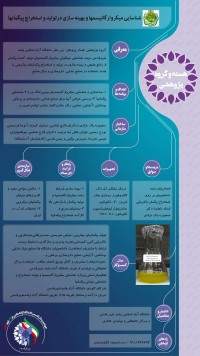 شناسایی مولکولی میکروارگانیسمهای تولید کننده پیگمان از منابع طبیعی و بهینه سازی در تولید و استخراج پیگمانهای میکروبی با هدف استفاده در صنایع غذایی، داروسازی و دیگر صنایع