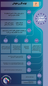 متاج- رز جاویدان