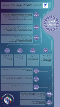 نظارت و مراقبت از زندانیان با فناوری ریز تراشه زیرپوستی الکترونیک