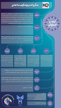 میکرواستریوسکوپ سه بعدی