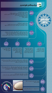 شرکت پیشگامان خلق ایده برتر