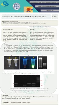 Evaluation of LAMP and Multiplex/Nested PCR for Malaria Diagnosis in Zahedan