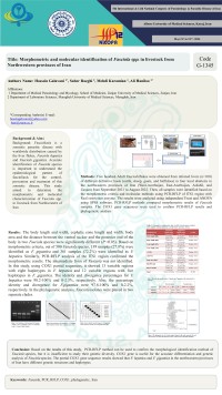 Morphometric and molecular identification of Fasciola spp. in livestock from Northwestern provinces of Iran