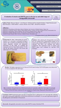 Evaluation of astacin and HSP70 genes in the larvae and adult stages of strongyloides stercoralis