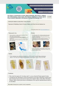 First Report of Enderleinellus krochinae Blagoveshtchensky, 1965 (Insecta: Anoplura) and Neohaematopinus syriacus Ferris, 1923 (Insecta: Anoplura) in Persian squirrel Sciurus anomalus Güldenstädt, 1785 (Rodentia: Sciuridae) from Hamedan, Iran