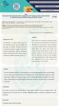 Evaluation of the therapeutic effect of amphotericin B- Sambucus ebulus topical ointment on cutaneous lesions of leishmania major in BALB/ c model.