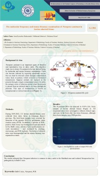 The molecular frequency and mouse bioassay examination of Neospora caninum in bovine aborted fetous