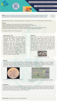 Detection of Leishmania major infection in the reservoir host of zoonotic cutaneous leishmaniasis (ZCL) by sequencing of the second internal transcribed spacer(ITS2) of the ribosomal RNA gene in northeast of Iran