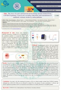 The trace of yeasts and bacteria in free-living amoeba isolated from COVID-19 patients: Concern for secondary infections and transmission of antibiotic resistant strains by endosymbionts