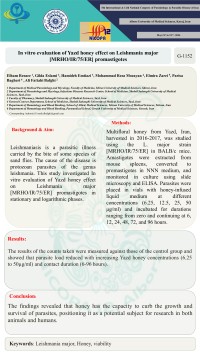 In vitro evaluation of Yazd honey effect on Leishmania major [MRHO/IR/75/ER] promastigotes