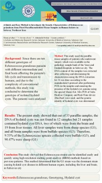 A Quick and Easy Method to Investigate the Genetic Characteristics of Echinococcus granulosus from Fixed Paraffin-embedded Tissue Samples in Human Isolates in Sabzvar, Northeast Iran