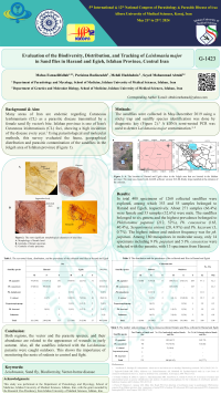 Evaluation of the Biodiversity, Distribution, and Tracking of Leishmania major in Sand flies in Harand and Egieh, Isfahan Province, Central Iran