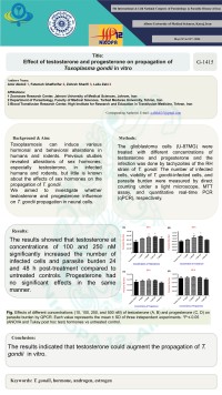 Effect of testosterone and progesterone on propagation of Toxoplasma gondii in vitro