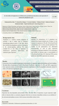 In vitro effect of tropisetron on Echinococcus granulosus protoscoleces and expression of calcineurin phosphatase gene