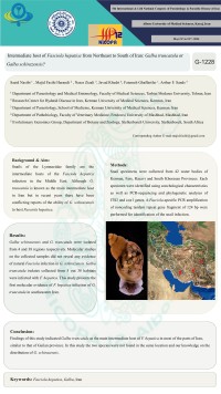 Intermediate host of Fasciola hepatica from Northeast to South of Iran: Galba truncatula or Galba schirazensis?