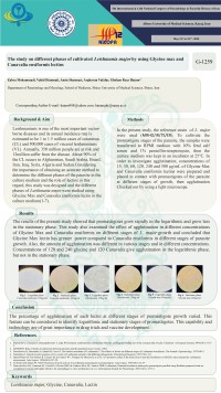 The study on different phases of cultivated Leishmania major by using Glycine max and Canavalia ensiformis lectins