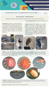 Road-Killed Animals: Resources for Parasitological Studies and Concern for Wildlife