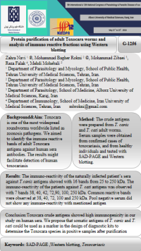 Protein purification of adult Toxocara worms and analysis of immuno reactive fractions using Western blotting