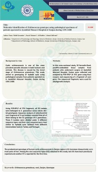 Molecular identification of Echinococcus genotypes using pathological specimens of patients operated in Ayatollah Mousavi Hospital of Zanjan during 1391-1400