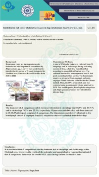 Identification tick vector of Hepatozoon canis in dogs in Khorasan Razavi province. Iran