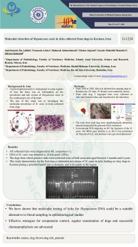 Molecular detection of Hepatozoon canis in ticks collected from dogs in Kerman, Iran