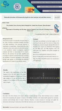 Molecular detection of Dientamoeba fragilis in street and pet cats and their owners