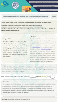 Insilico mining of microRNAs of Blastocystis sp. in irritable bowel syndrome (IBS) patients