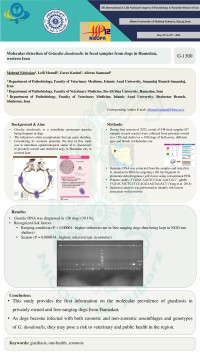 Molecular detection of Giardia deudenatis in fecal samples from dogs in hamedan, western Iran