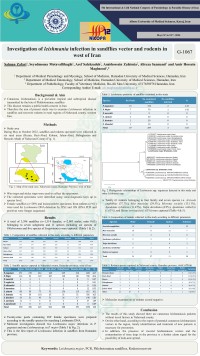 Investigation of leishmania infection in sandflies vector and rodents in west of Iran