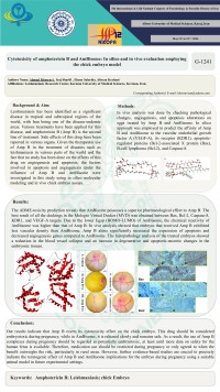 Cytotoxicity of amphotericin B and AmBisome: In silico and in vivo evaluation employing the chick embryo model