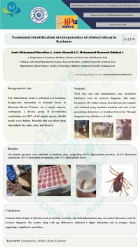 Taxonomic identification of ectoparasites of Afshari sheep in Kashmar