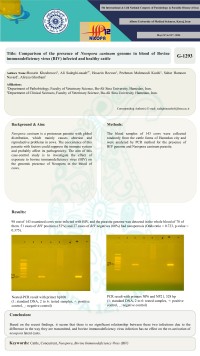 Comparison of the presence of Neospora caninum genome in blood of Bovine immunodeficiency virus (BIV) infected and healthy cattle