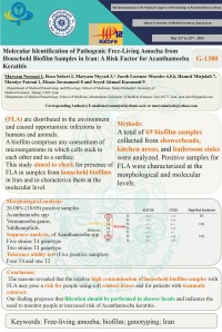 Molecular Identification of Pathogenic Free-Living Amoeba from Household Biofilm Samples in Iran: A Risk Factor for Acanthamoeba Keratitis