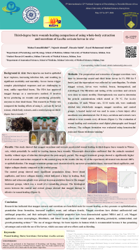 Third-degree burn wounds healing comparison of using whole-body extraction and secretions of Lucilia sericata larvae in vivo