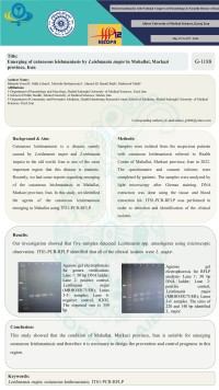 Emerging of cutaneous leishmaniasis by Leishmania major in Mahallat, Markazi province, Iran