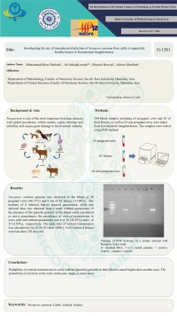 Investigating the rate of transplacental infection of Neospora caninum from cattle to apparently healthy fetuses in Kermanshah slaughterhouse