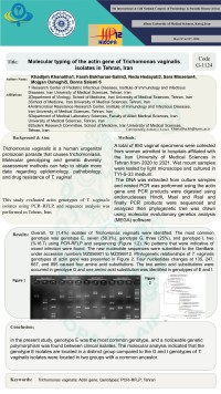 Molecular typing of the actin gene of Trichomonas vaginalis isolates in Tehran, Iran