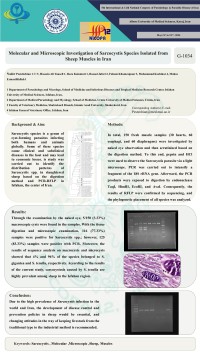 Molecular and Microscopic Investigation of Sarcocystis Species Isolated from Sheep Muscles in Iran