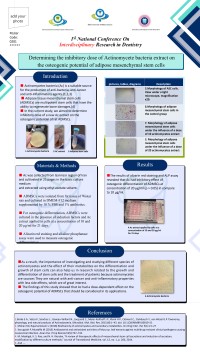 Determining the inhibitory dose of Actinomycete bacteria extract on the osteogenic potential of adipose mesenchymal stem cells